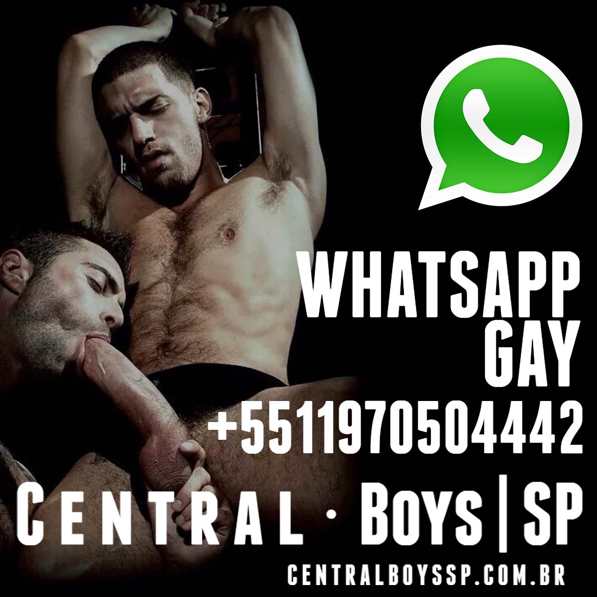 Gay whatsapp porn group